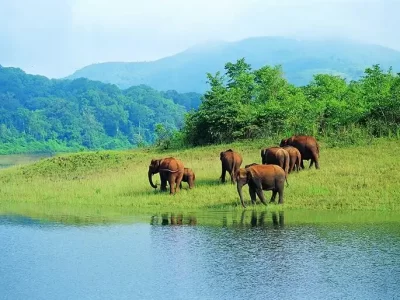 periyar-wildlife-sanctuary periyar-wildlife-sanctuary